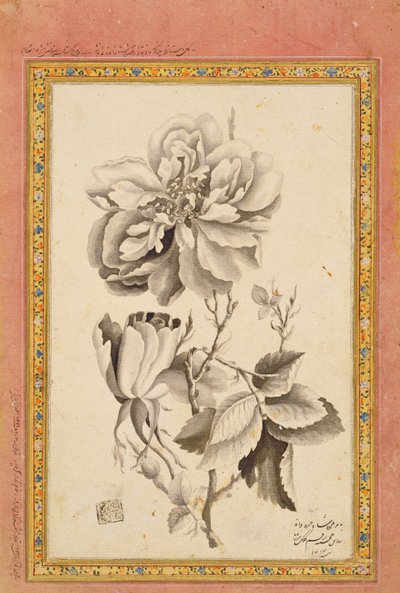 Rosa, 1799-1800 de Mirza Baba